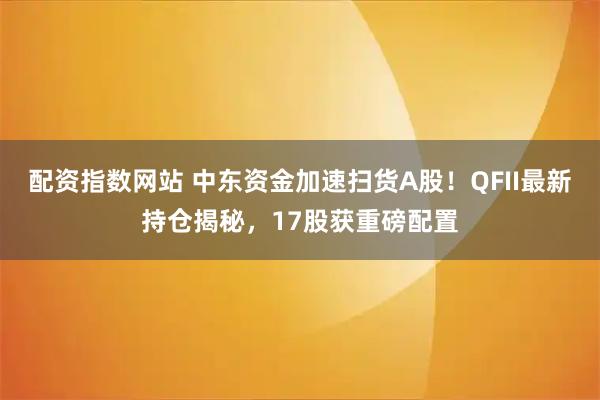 配资指数网站 中东资金加速扫货A股！QFII最新持仓揭秘，17股获重磅配置